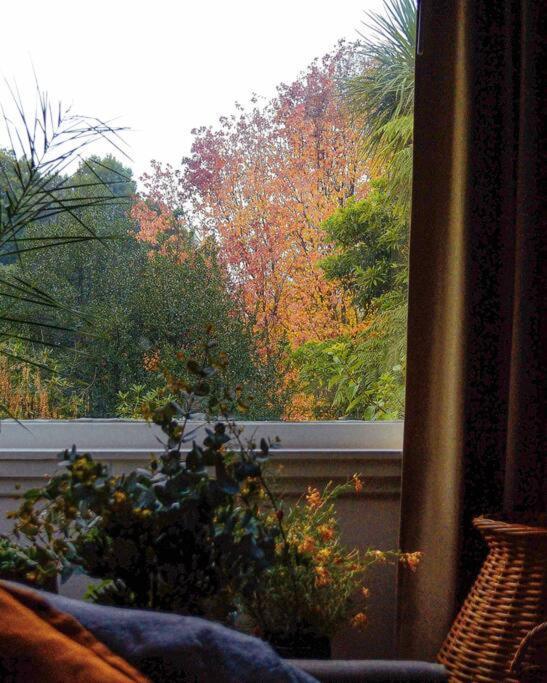 Harrys House Warburton - Peaceful Riverside Cottage In The Perfect Location Eksteriør billede